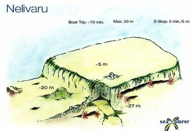 Nelivaru